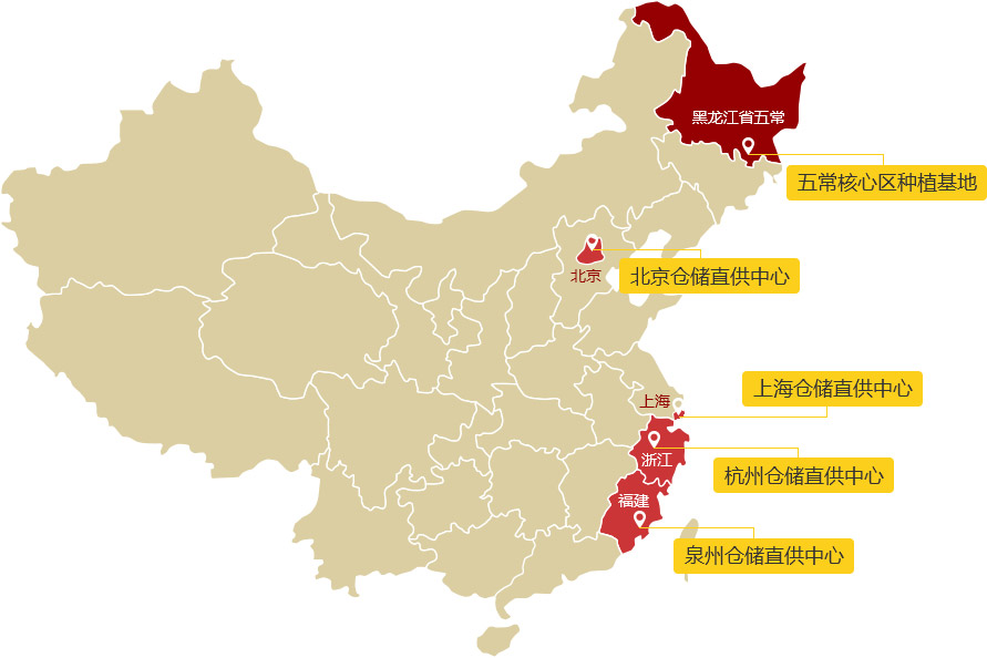 销售网络
